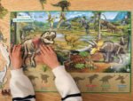 À la découverte des dinosaures – Image 2