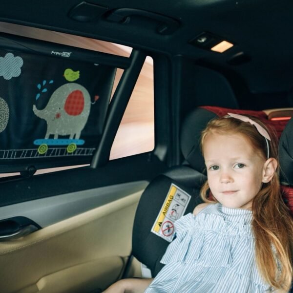 Pack de 2 Pare-Soleil  FreeON