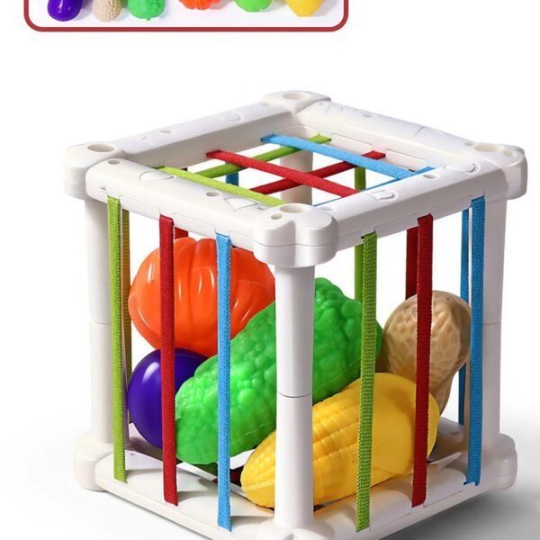 Boîte sensorielle